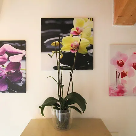 La Rosa Del Garda Apartamento Peschiera del Garda